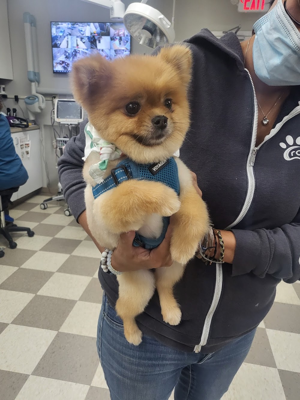Rainbow Veterinary Hospital