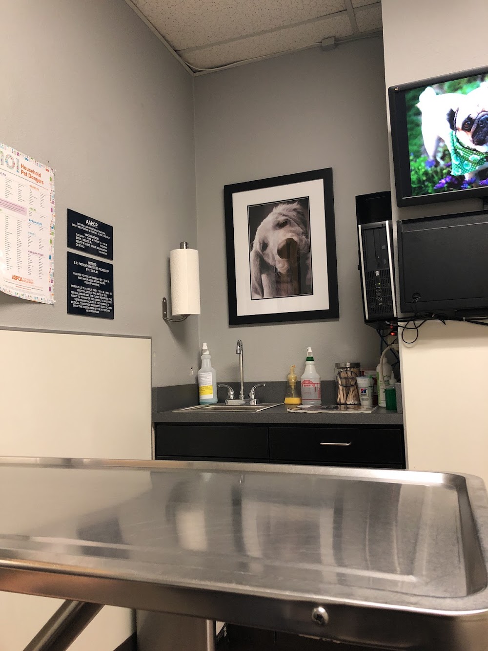 Animal-AM Emergency Clinic of Pasadena