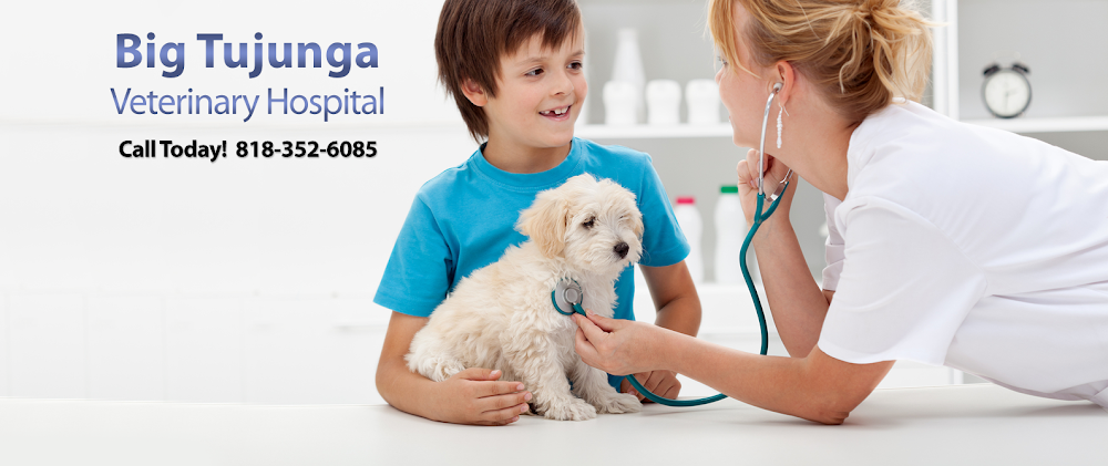 Big Tujunga Vet Hospital